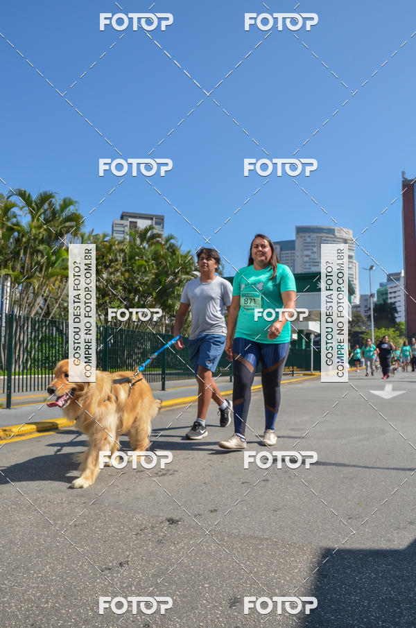 Buy your photos of the event2� Pet Run Shopping Eldorado  on Fotop