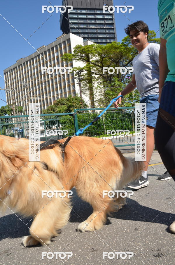 Buy your photos of the event2� Pet Run Shopping Eldorado  on Fotop