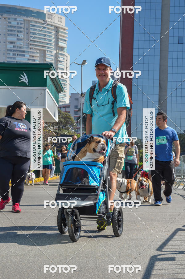 Buy your photos of the event2� Pet Run Shopping Eldorado  on Fotop