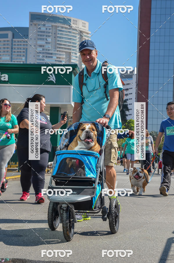 Buy your photos of the event2� Pet Run Shopping Eldorado  on Fotop