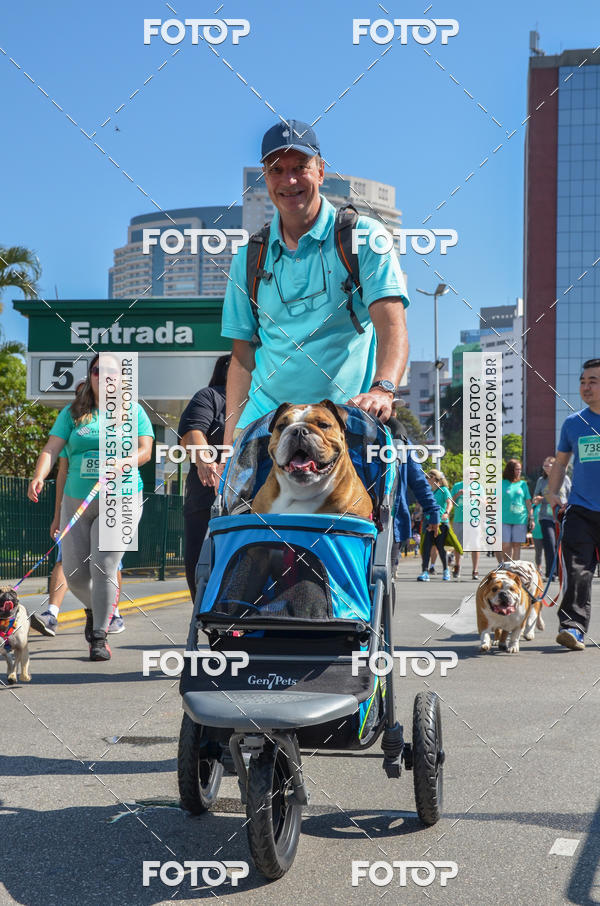 Buy your photos of the event2� Pet Run Shopping Eldorado  on Fotop