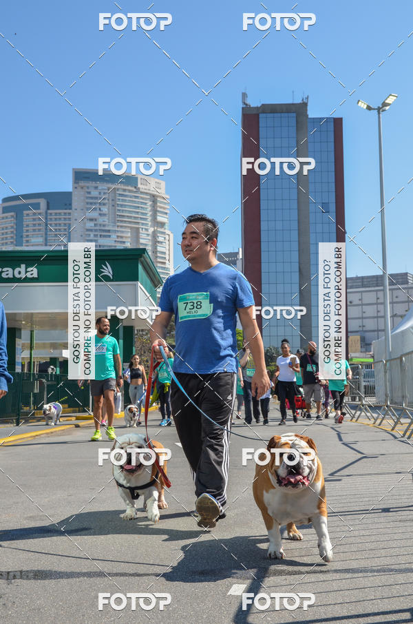 Buy your photos of the event2� Pet Run Shopping Eldorado  on Fotop