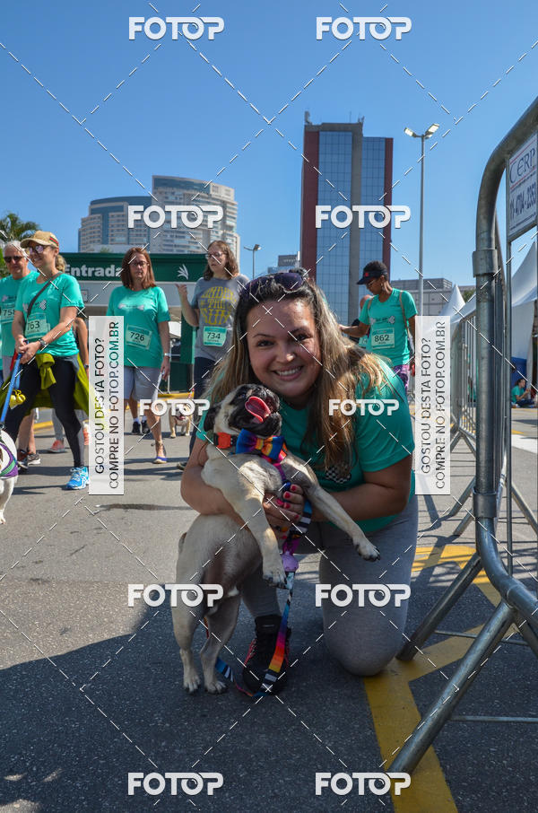 Buy your photos of the event2� Pet Run Shopping Eldorado  on Fotop