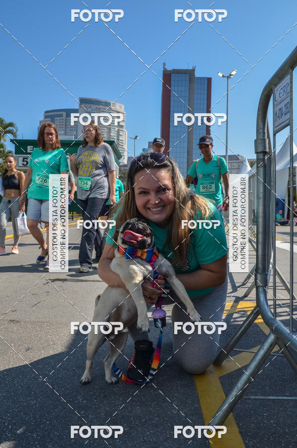 Buy your photos of the event2� Pet Run Shopping Eldorado  on Fotop