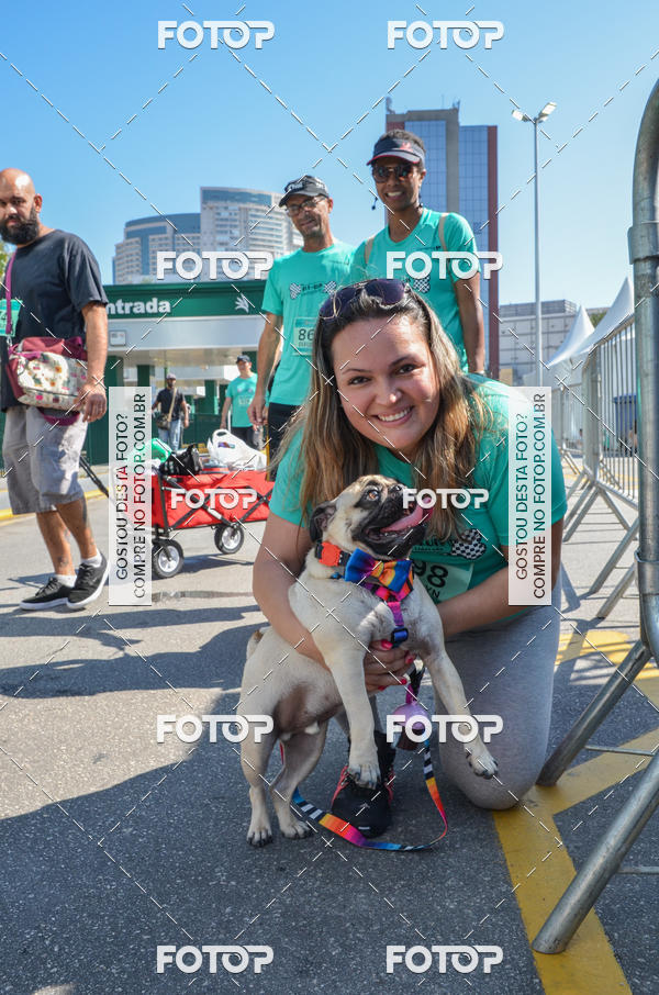 Buy your photos of the event2� Pet Run Shopping Eldorado  on Fotop