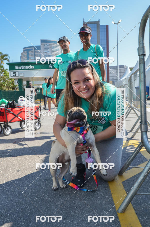 Buy your photos of the event2� Pet Run Shopping Eldorado  on Fotop