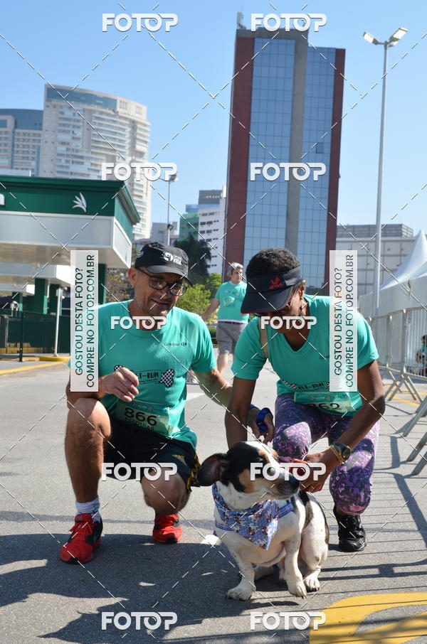 Buy your photos of the event2� Pet Run Shopping Eldorado  on Fotop