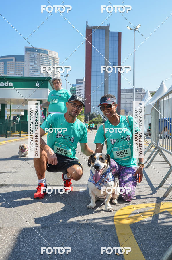 Buy your photos of the event2� Pet Run Shopping Eldorado  on Fotop