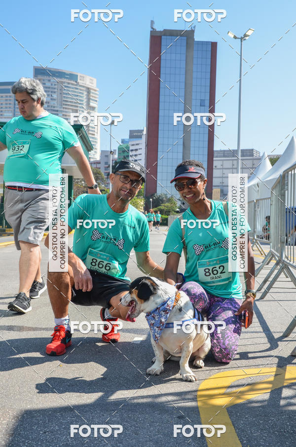 Buy your photos of the event2� Pet Run Shopping Eldorado  on Fotop