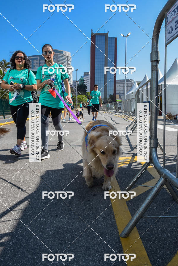Buy your photos of the event2� Pet Run Shopping Eldorado  on Fotop