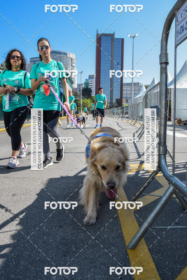 Buy your photos of the event2� Pet Run Shopping Eldorado  on Fotop