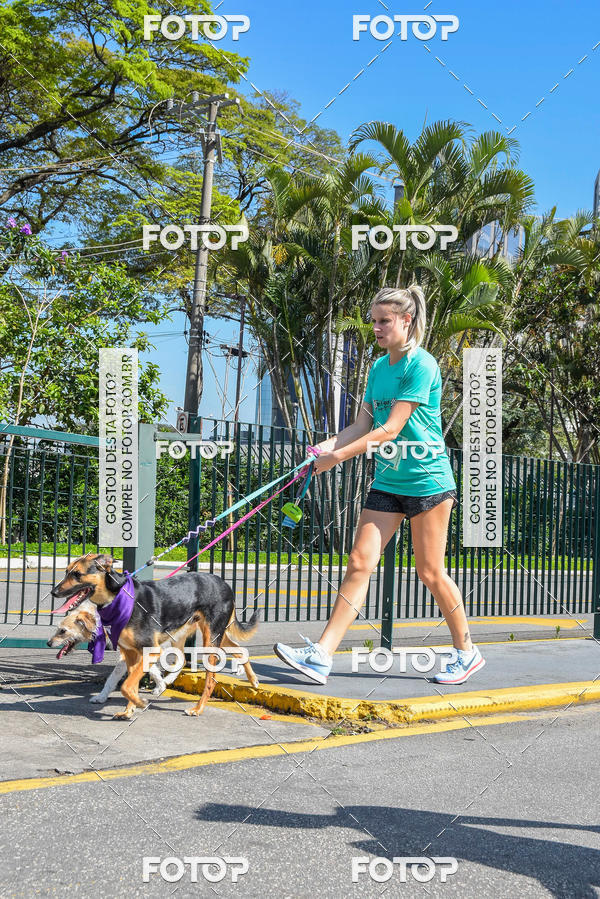 Buy your photos of the event2� Pet Run Shopping Eldorado  on Fotop