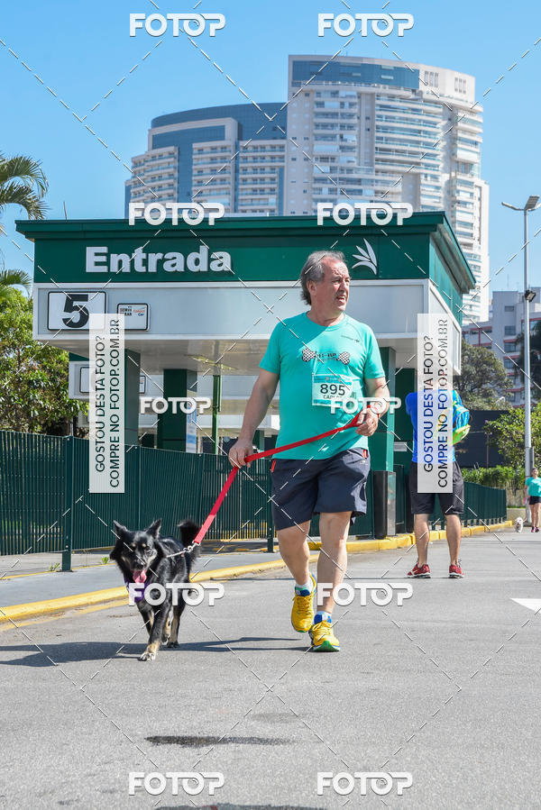 Buy your photos of the event2� Pet Run Shopping Eldorado  on Fotop