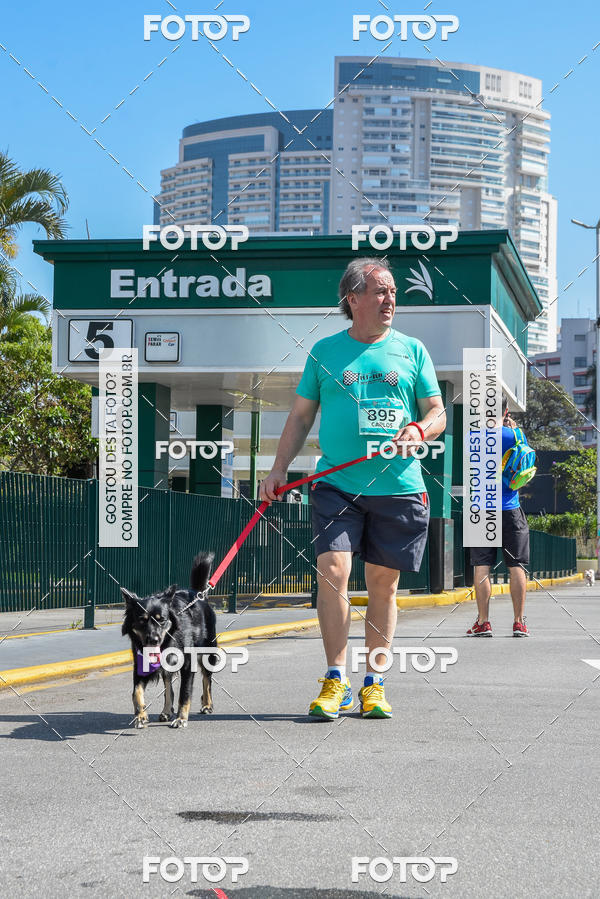 Buy your photos of the event2� Pet Run Shopping Eldorado  on Fotop