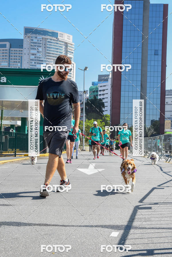 Buy your photos of the event2� Pet Run Shopping Eldorado  on Fotop
