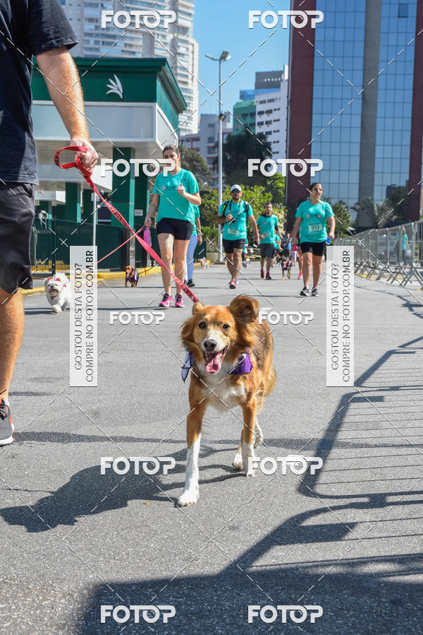 Buy your photos of the event2� Pet Run Shopping Eldorado  on Fotop