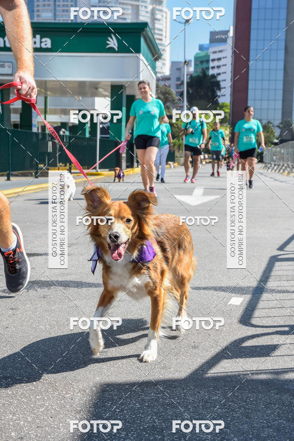 Buy your photos of the event2� Pet Run Shopping Eldorado  on Fotop