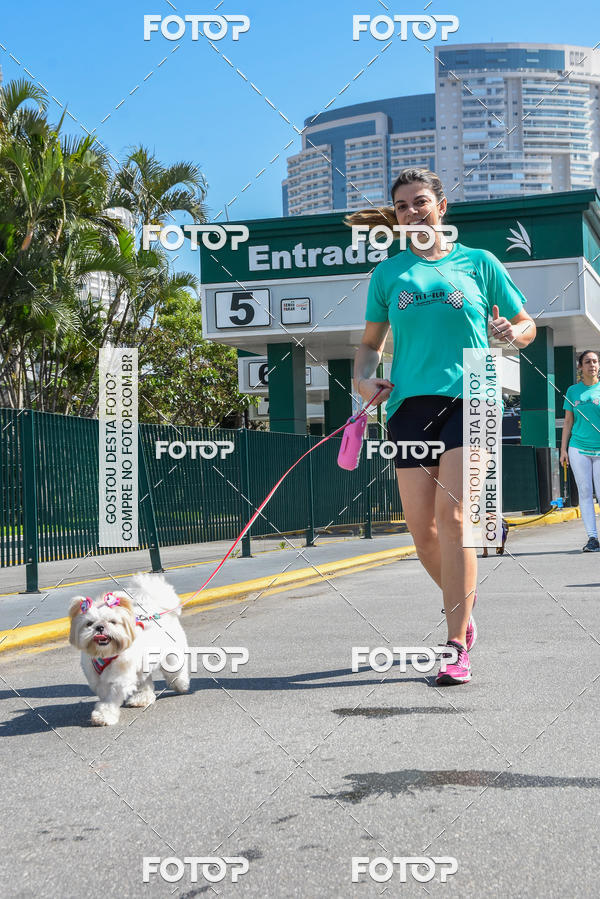 Buy your photos of the event2� Pet Run Shopping Eldorado  on Fotop