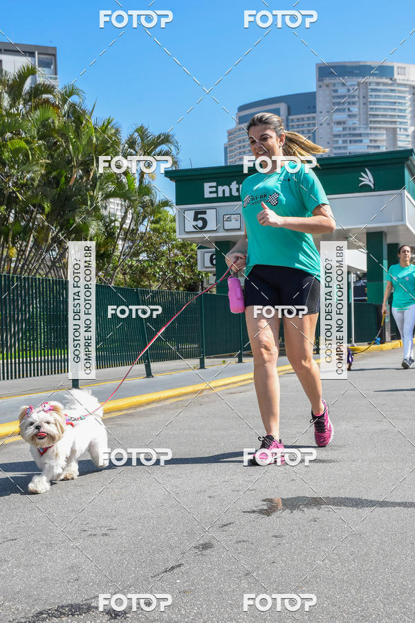 Buy your photos of the event2� Pet Run Shopping Eldorado  on Fotop