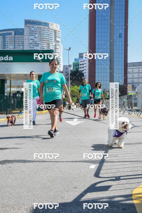 Buy your photos of the event2� Pet Run Shopping Eldorado  on Fotop
