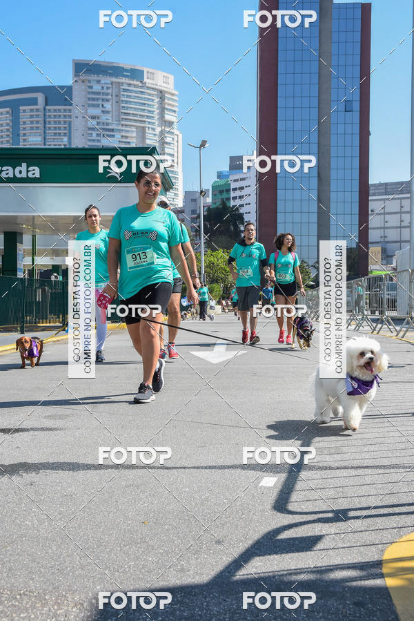 Buy your photos of the event2� Pet Run Shopping Eldorado  on Fotop