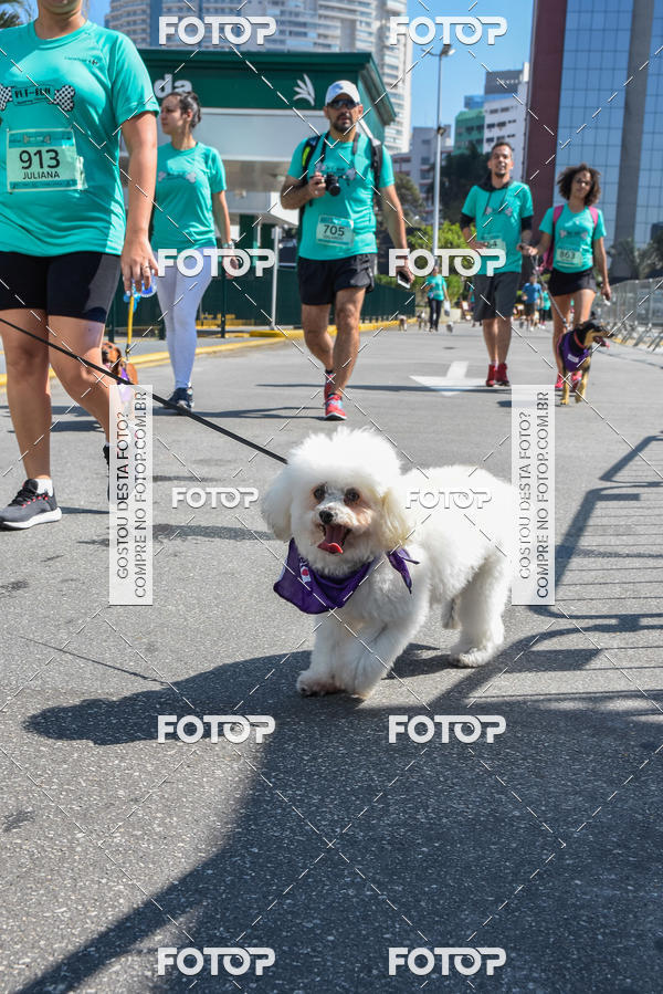 Buy your photos of the event2� Pet Run Shopping Eldorado  on Fotop