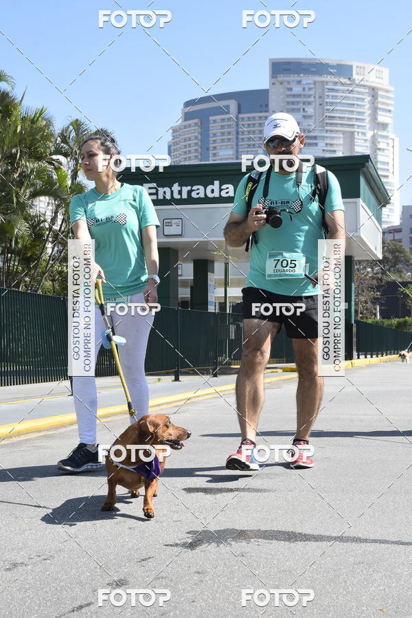 Buy your photos of the event2� Pet Run Shopping Eldorado  on Fotop