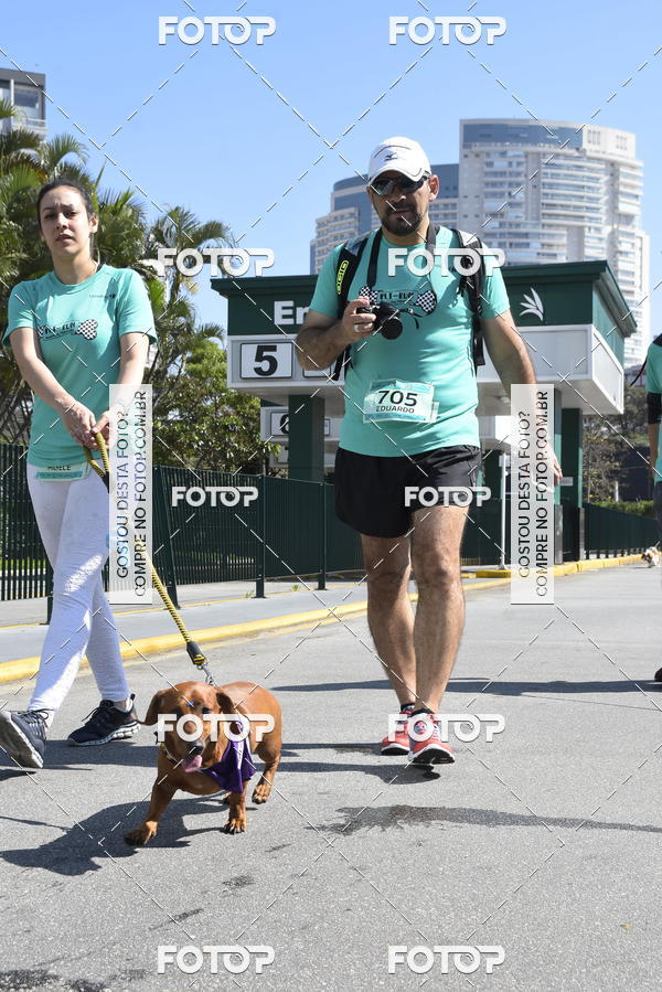 Buy your photos of the event2� Pet Run Shopping Eldorado  on Fotop