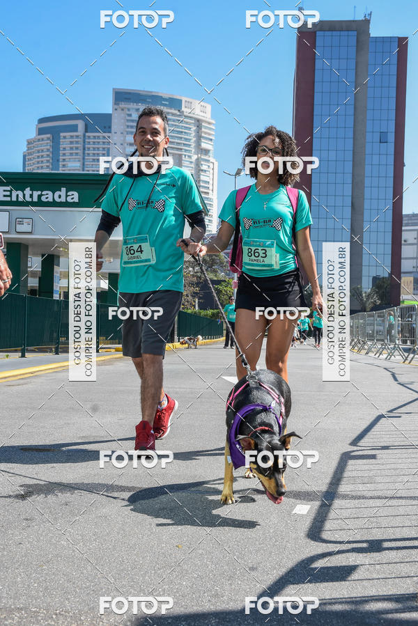 Buy your photos of the event2� Pet Run Shopping Eldorado  on Fotop