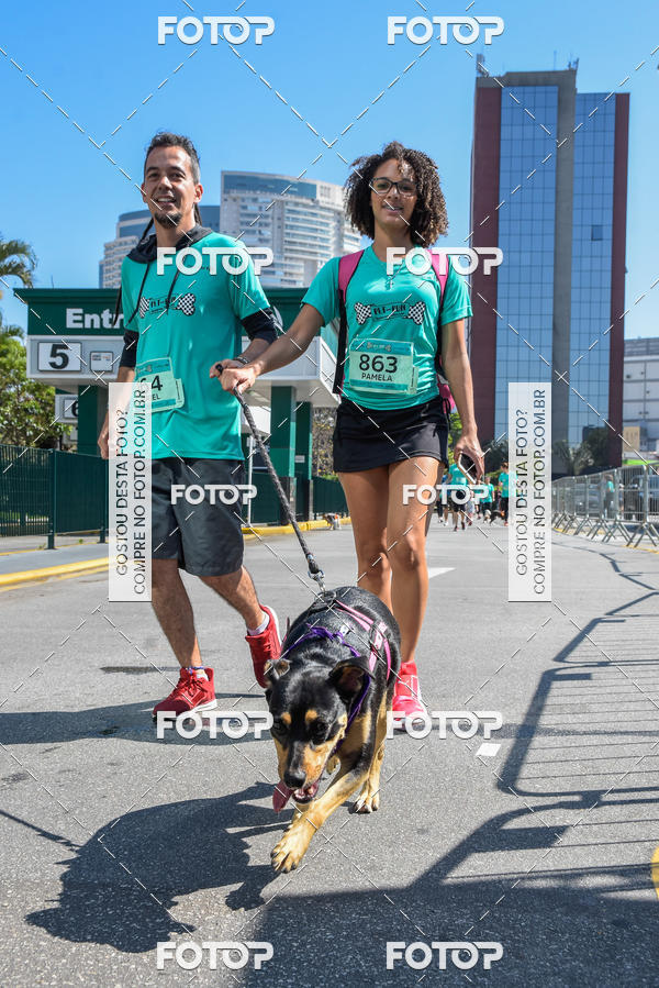 Buy your photos of the event2� Pet Run Shopping Eldorado  on Fotop