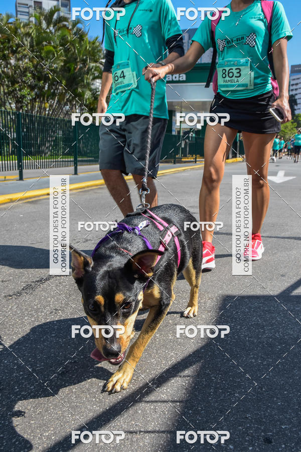 Buy your photos of the event2� Pet Run Shopping Eldorado  on Fotop
