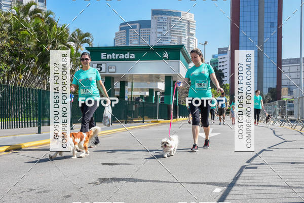 Buy your photos of the event2� Pet Run Shopping Eldorado  on Fotop