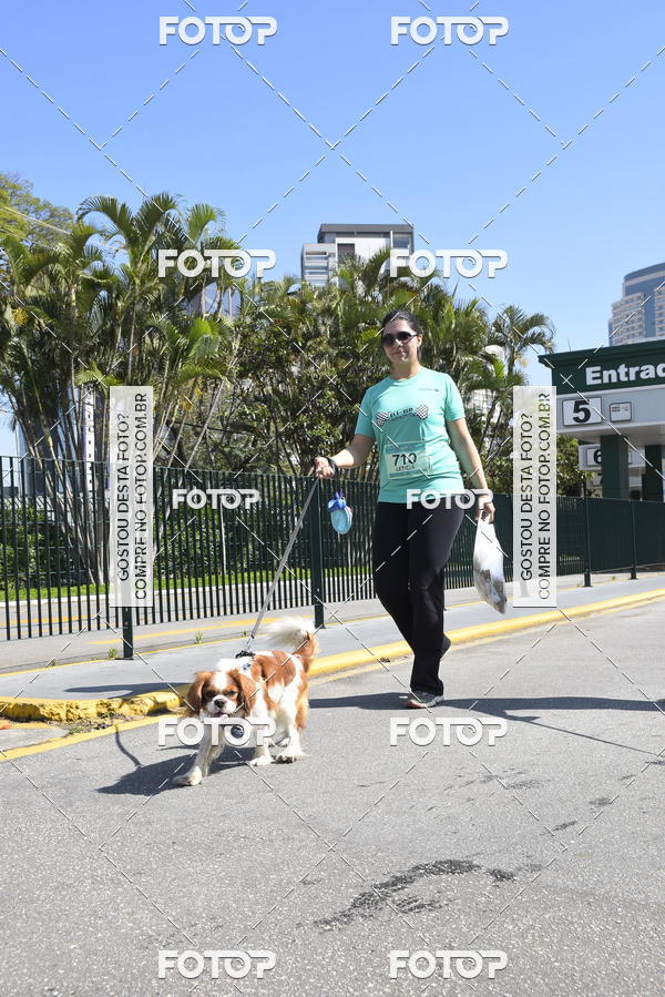 Buy your photos of the event2� Pet Run Shopping Eldorado  on Fotop