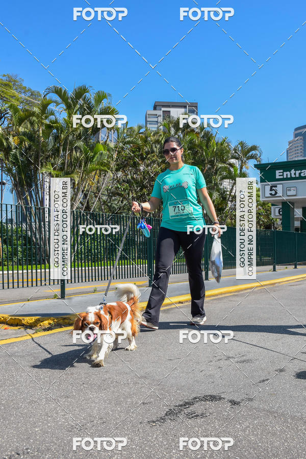 Buy your photos of the event2� Pet Run Shopping Eldorado  on Fotop