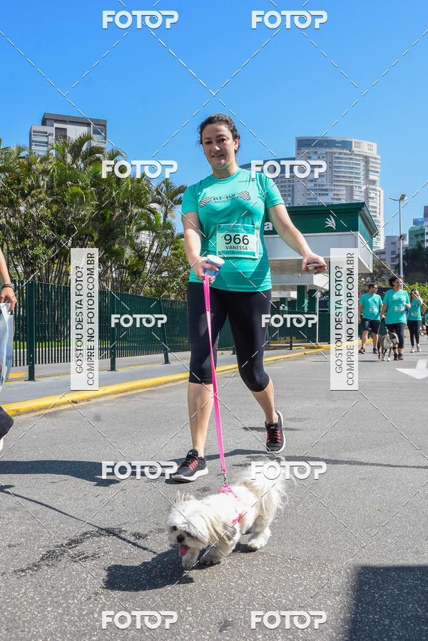 Buy your photos of the event2� Pet Run Shopping Eldorado  on Fotop
