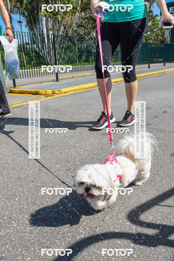 Buy your photos of the event2� Pet Run Shopping Eldorado  on Fotop
