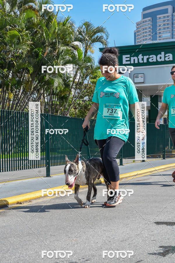 Buy your photos of the event2� Pet Run Shopping Eldorado  on Fotop