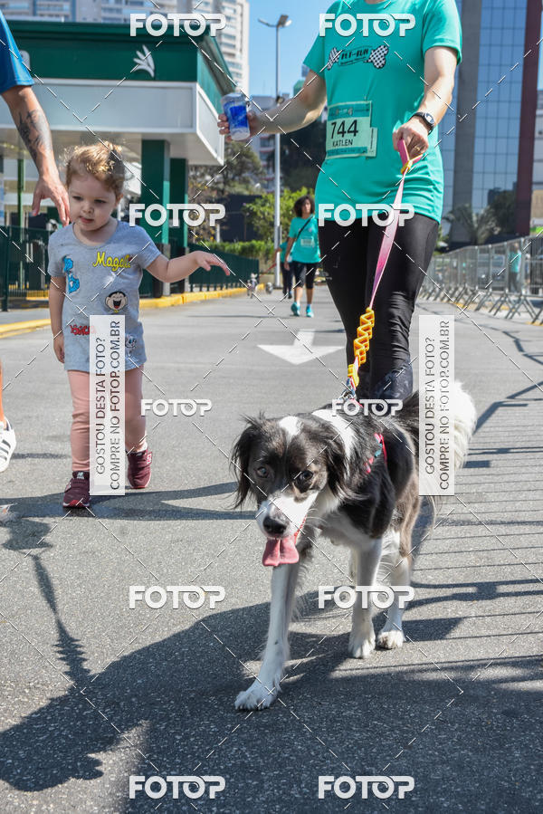Buy your photos of the event2� Pet Run Shopping Eldorado  on Fotop