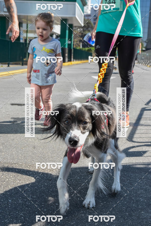 Buy your photos of the event2� Pet Run Shopping Eldorado  on Fotop