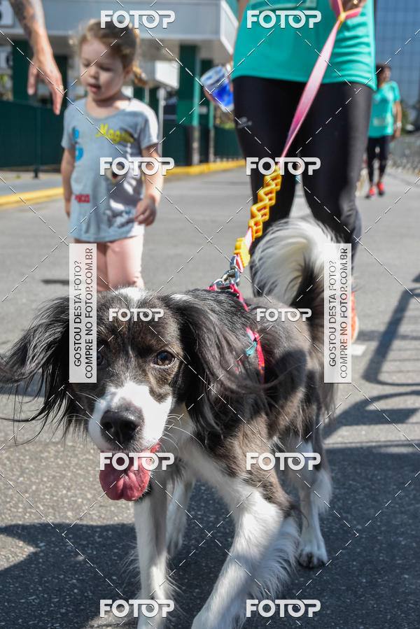 Buy your photos of the event2� Pet Run Shopping Eldorado  on Fotop