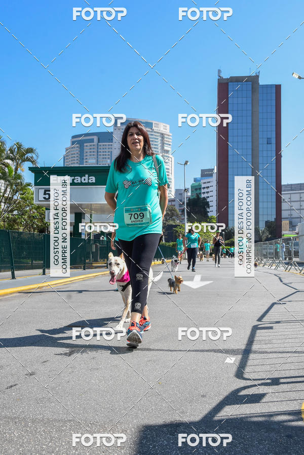 Buy your photos of the event2� Pet Run Shopping Eldorado  on Fotop