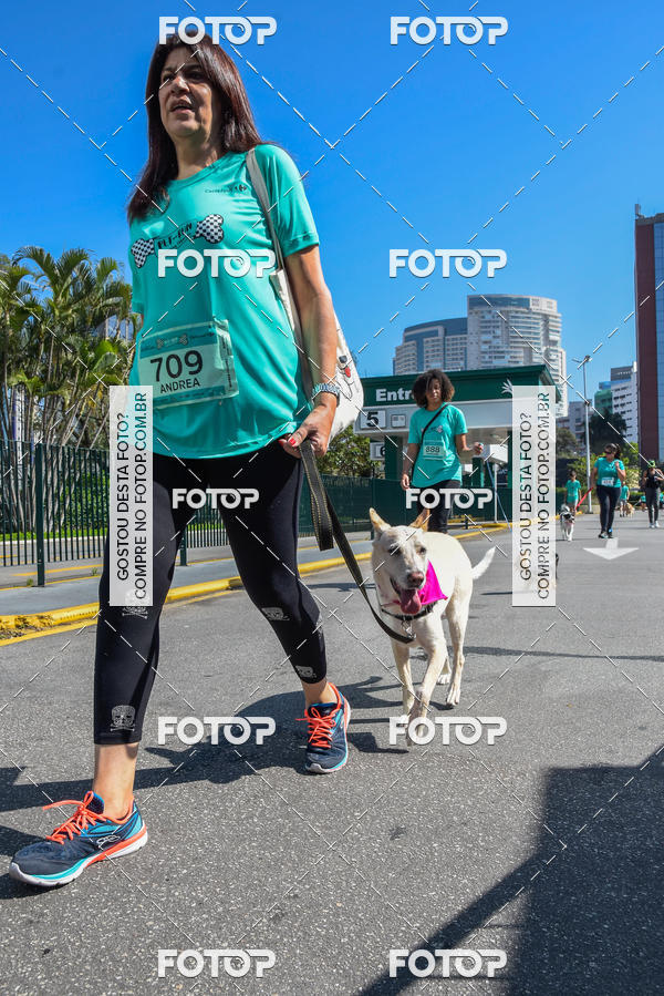 Buy your photos of the event2� Pet Run Shopping Eldorado  on Fotop