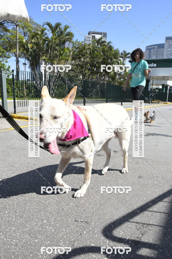 Buy your photos of the event2� Pet Run Shopping Eldorado  on Fotop