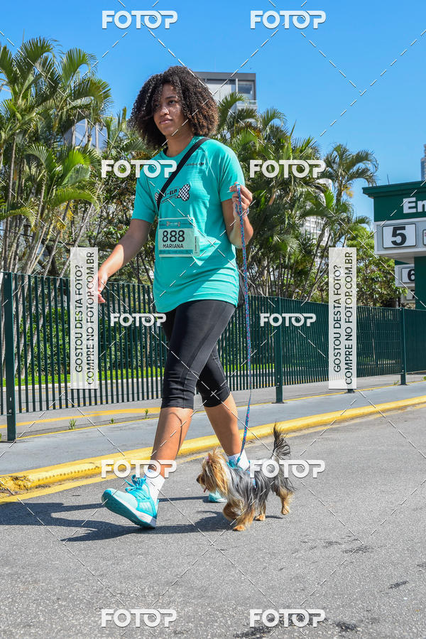 Buy your photos of the event2� Pet Run Shopping Eldorado  on Fotop