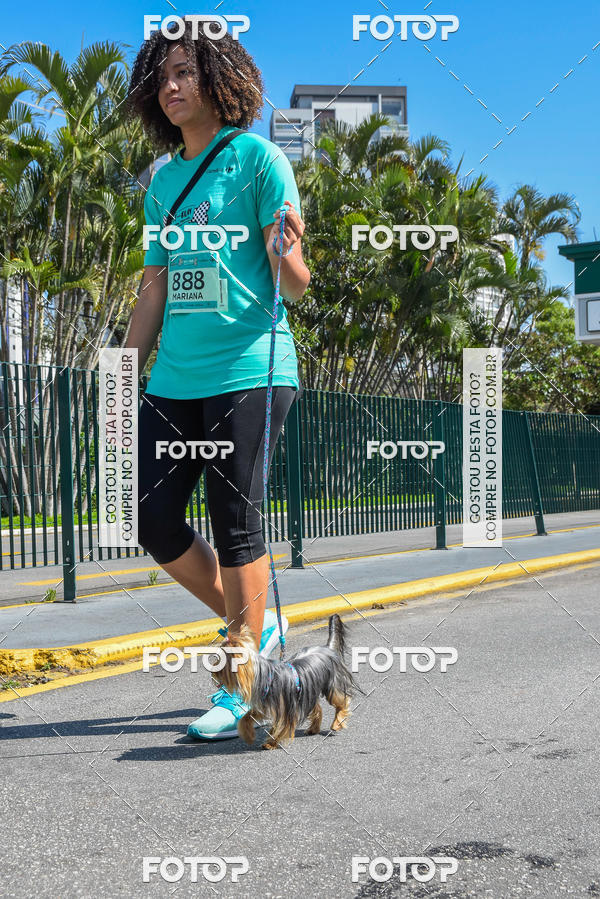 Buy your photos of the event2� Pet Run Shopping Eldorado  on Fotop