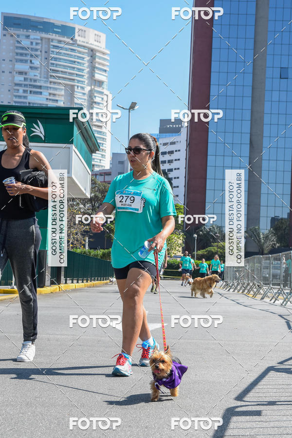 Buy your photos of the event2� Pet Run Shopping Eldorado  on Fotop