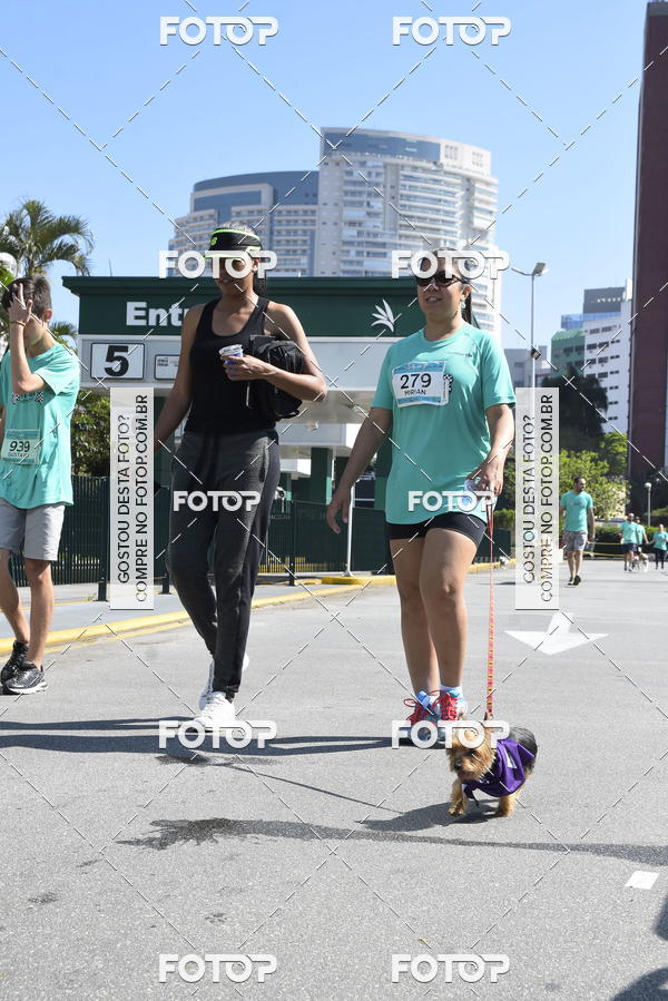 Buy your photos of the event2� Pet Run Shopping Eldorado  on Fotop