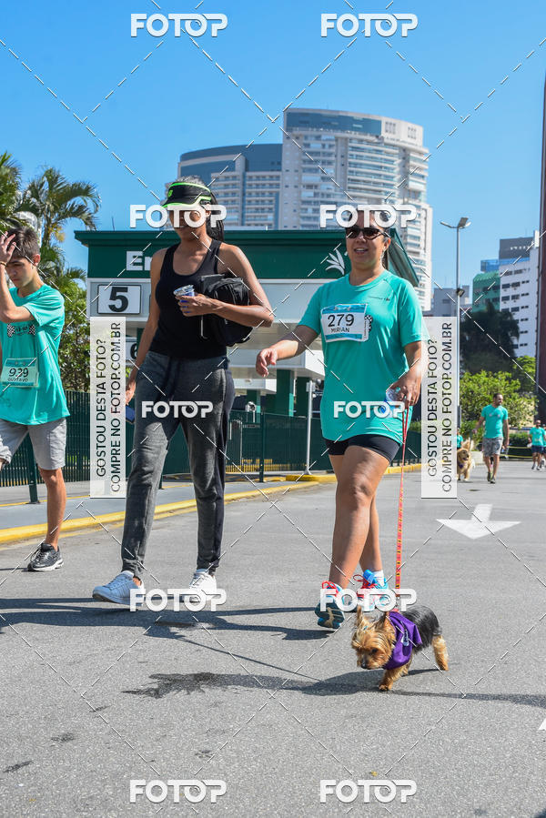 Buy your photos of the event2� Pet Run Shopping Eldorado  on Fotop