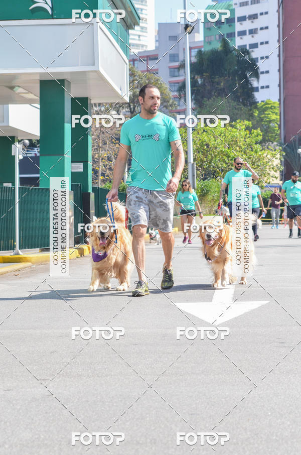Buy your photos of the event2� Pet Run Shopping Eldorado  on Fotop