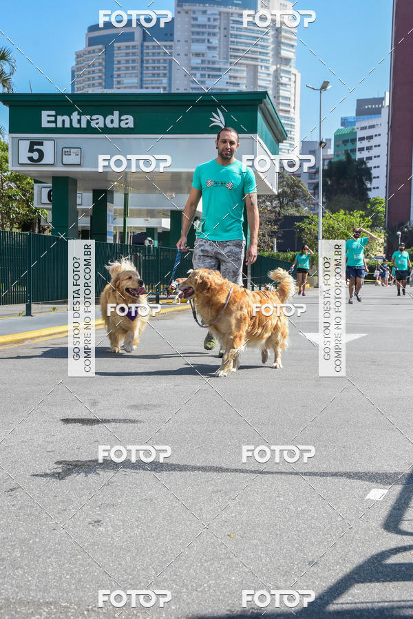 Buy your photos of the event2� Pet Run Shopping Eldorado  on Fotop